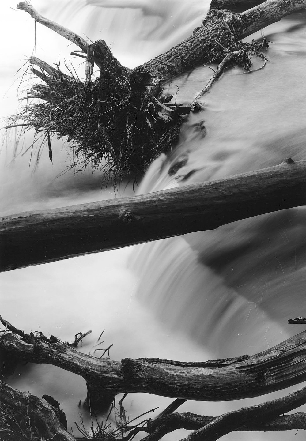 Three logs are partially submerged in a river with a waterfall.