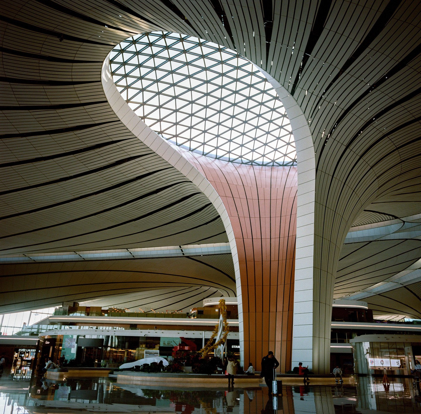 A man with a suitcase stands in a modern airport terminal with a large skylight and curved architecture.