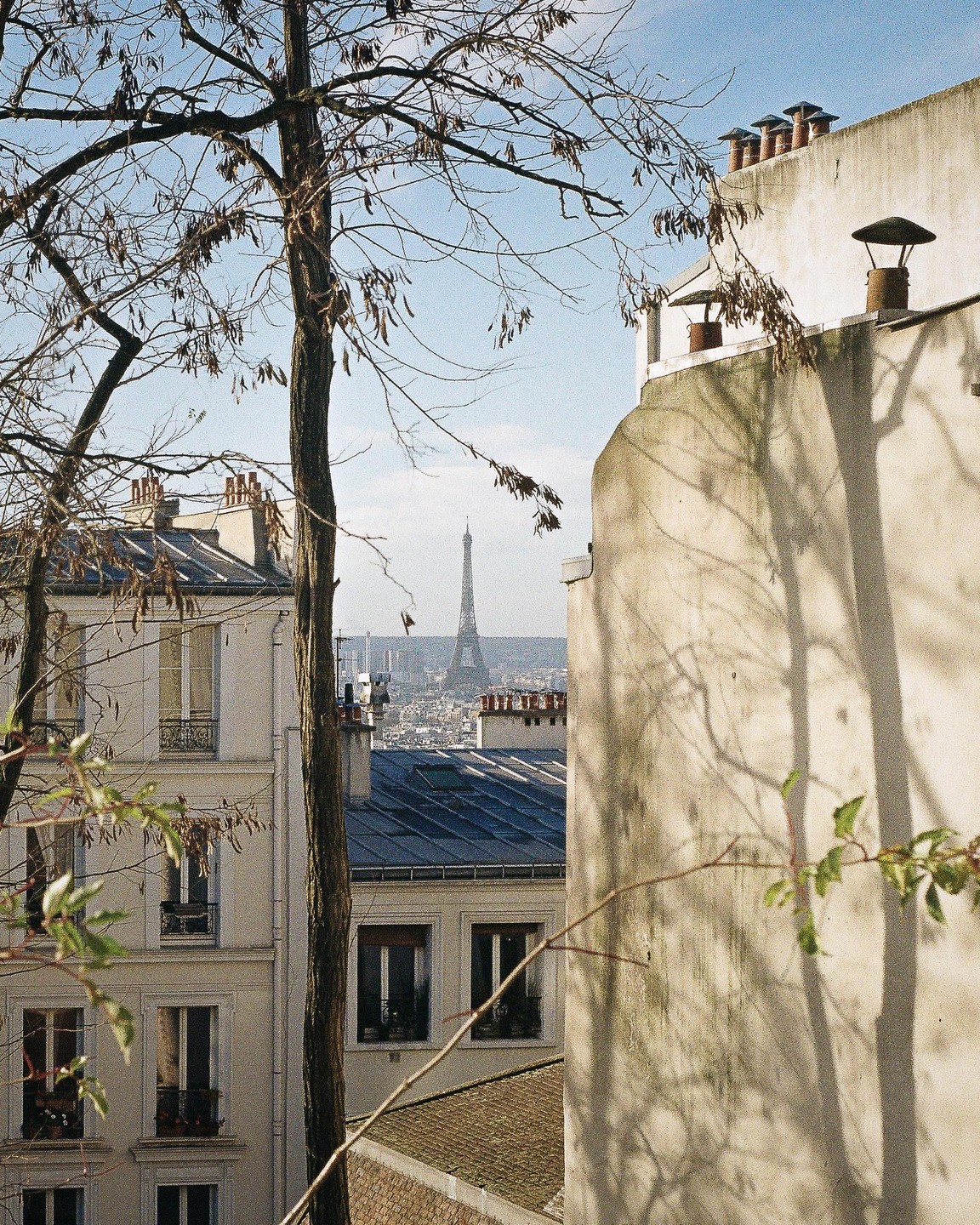 The Eiffel Tower is visible in the distance between buildings and bare trees.