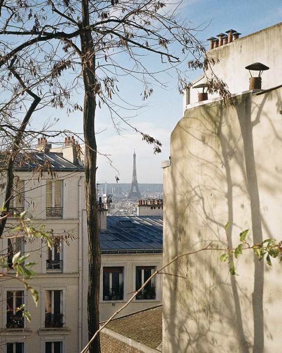 The Eiffel Tower is visible in the distance between buildings and bare trees.