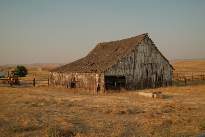 An old wooden barn with a damaged roof stands in a dry, grassy field under a clear sky.