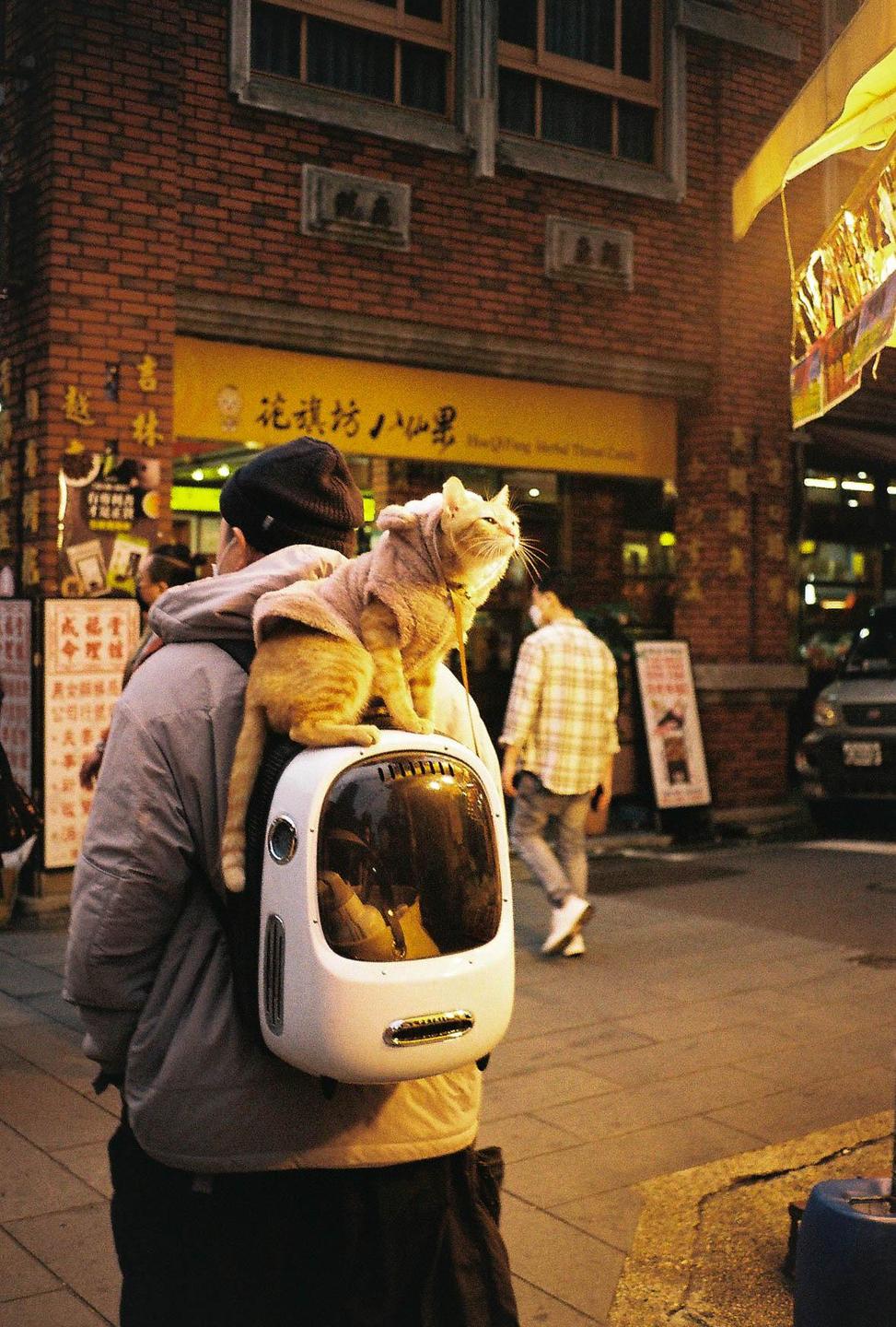 A man carries a cat in a cat backpack on a city street at night.