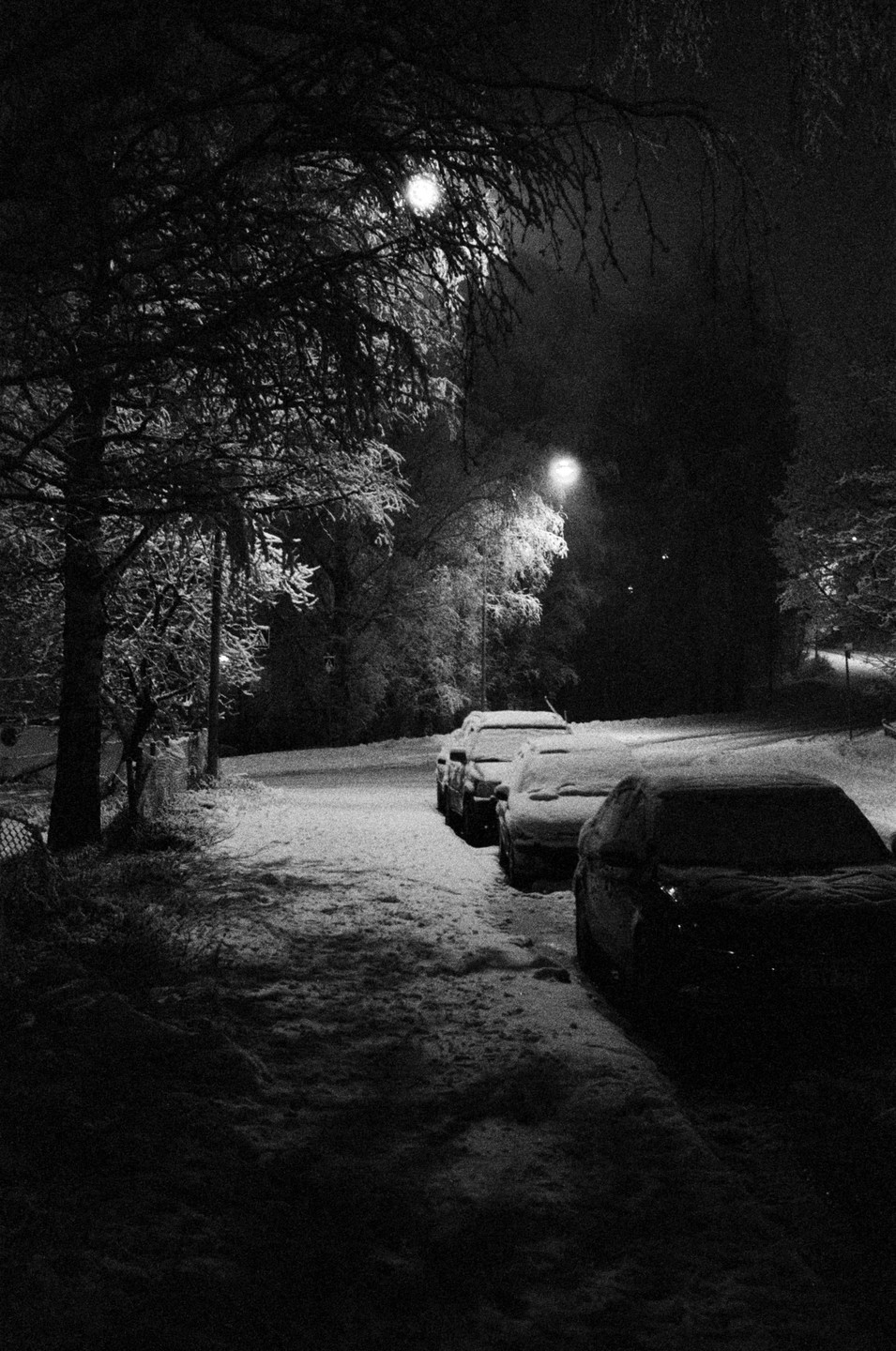 A row of cars covered in snow are parked along a street at night, illuminated by streetlights.