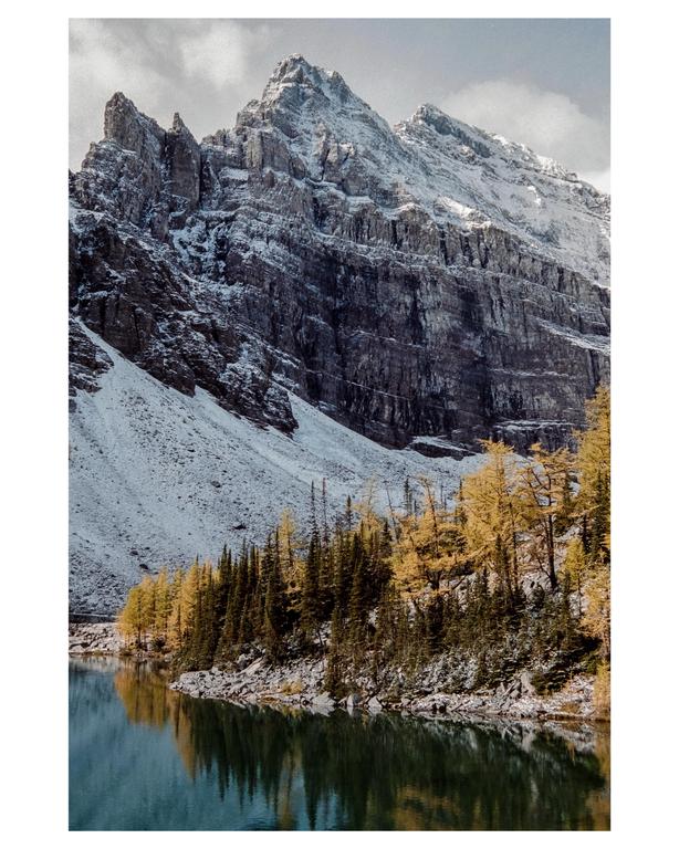 A snow-covered mountain rises above a lake with a shoreline of green and yellow trees.