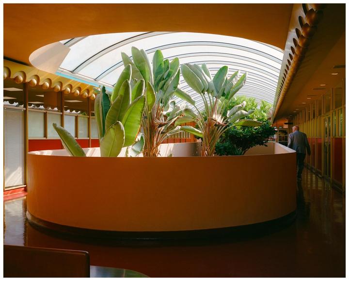 A man walks down a long hallway with a curved skylight and large plants in a planter.