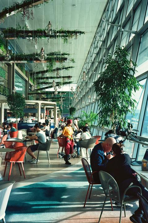 People are seated at tables in a bright, modern airport terminal with large windows and hanging plants.