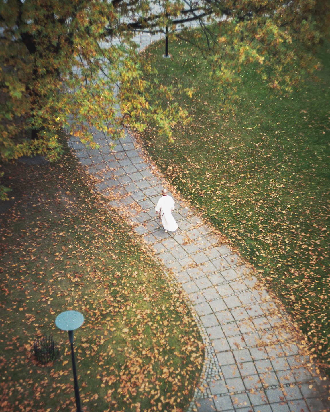A monk in a white robe walks along a winding path covered with autumn leaves, viewed from above.