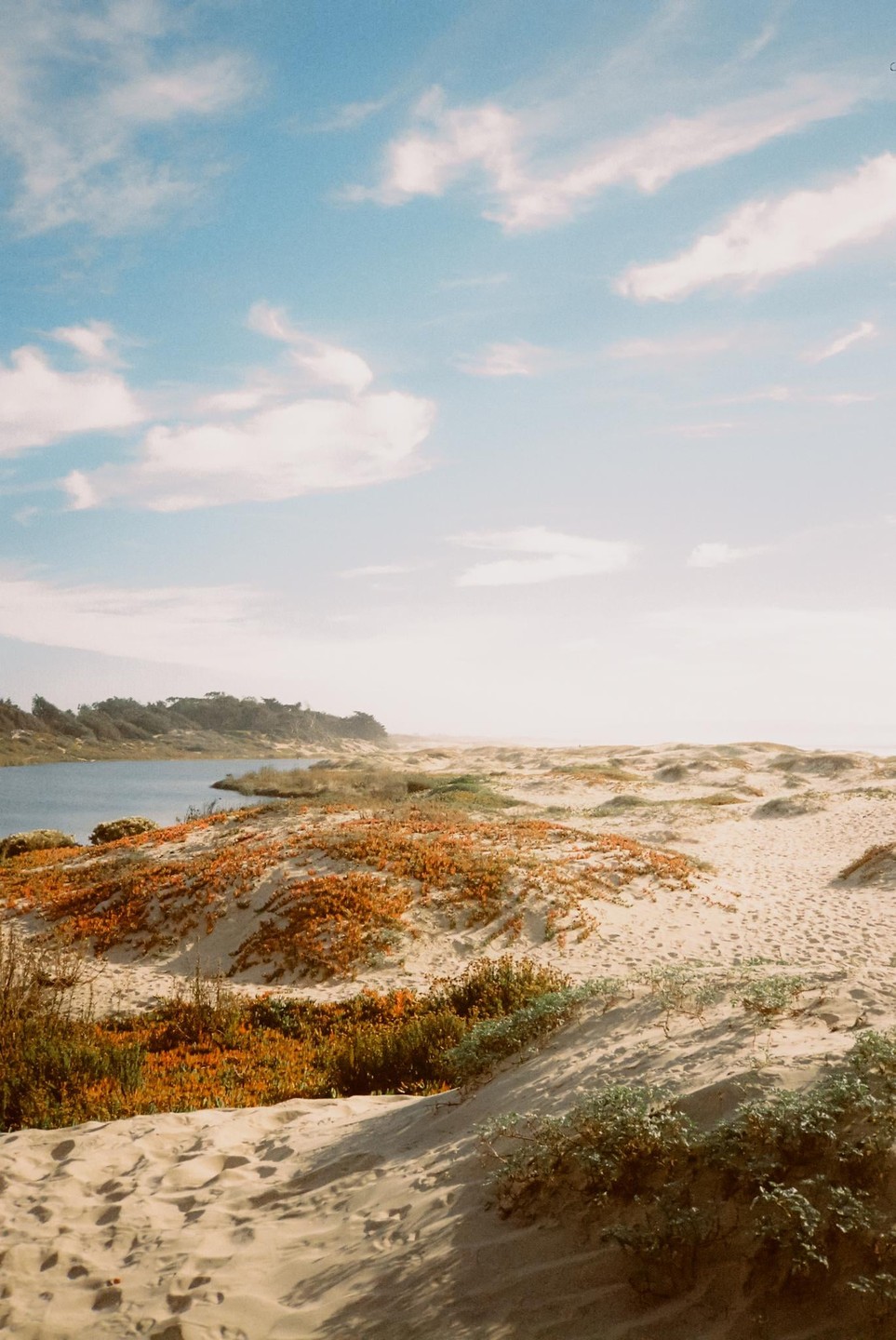 A body of water is visible next to sand dunes covered in orange and green vegetation under a blue sky with clouds.