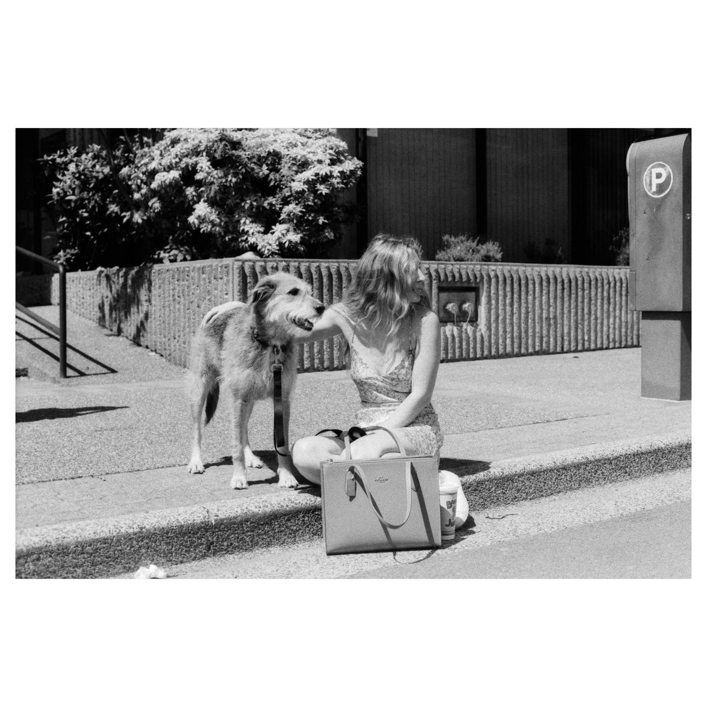 A woman sits on a curb next to a dog on a leash, with a parking meter and building in the background.