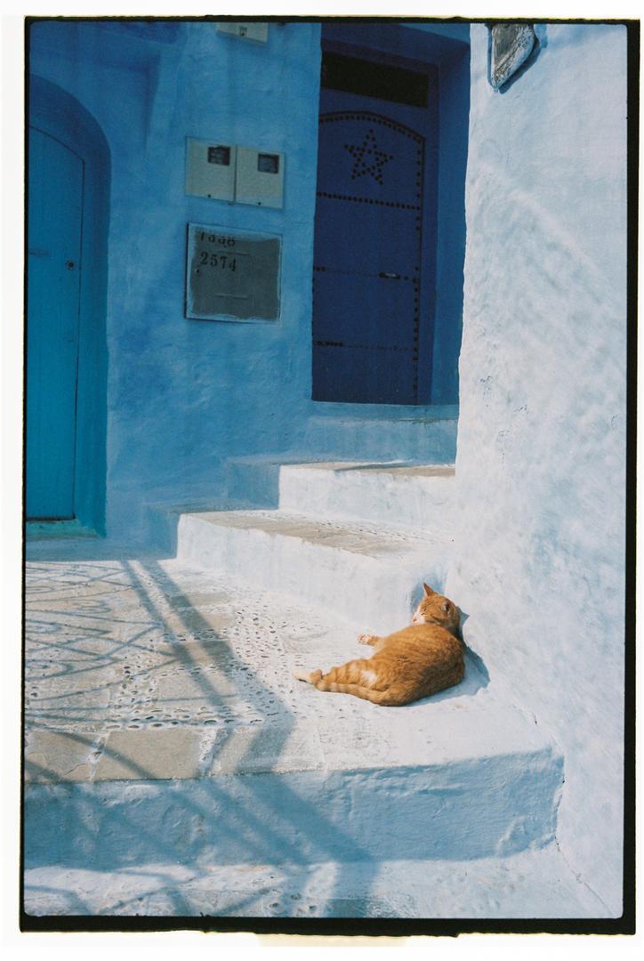 Chefchaouen/ Leica M6 / 35 TLM/ Portra 400, tagged door