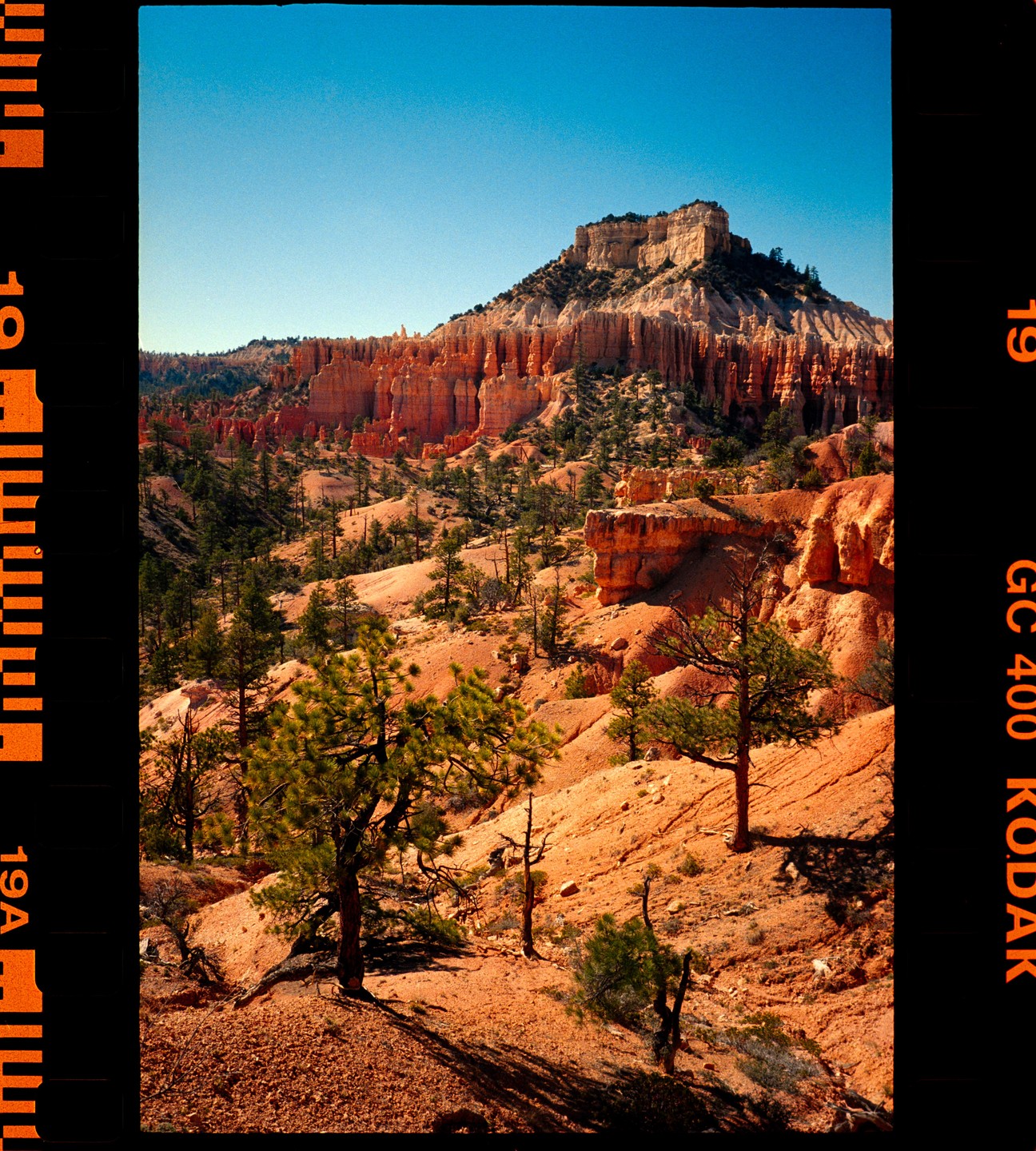 A vast landscape of red rock formations and scattered green trees stretches under a clear blue sky.