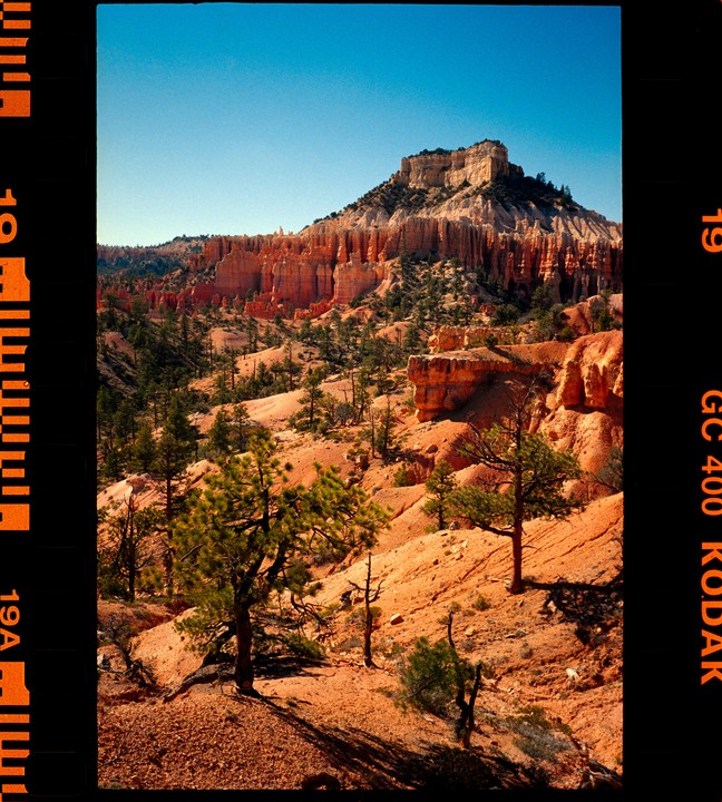 A vast landscape of red rock formations and scattered green trees stretches under a clear blue sky.