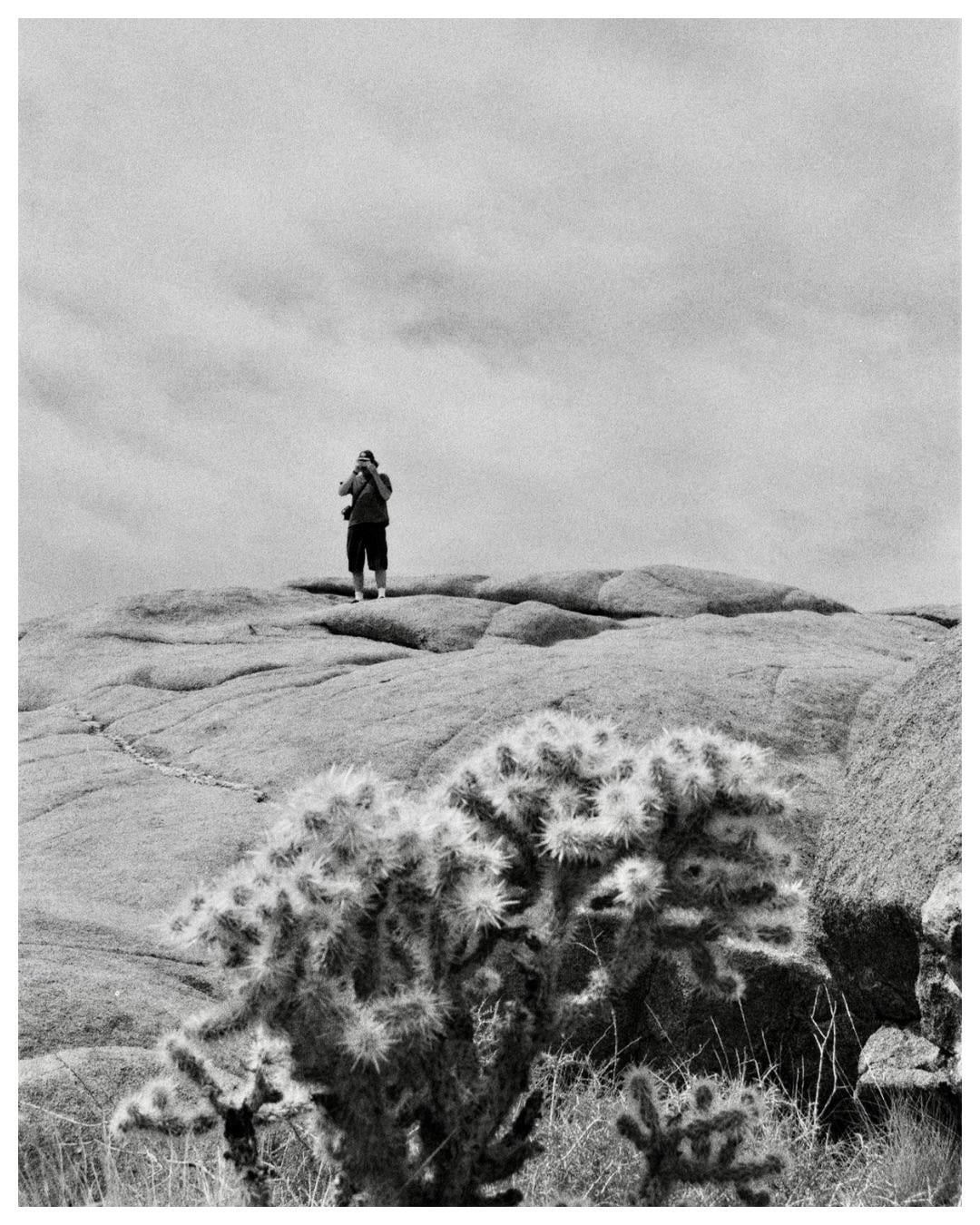A man stands on a rocky outcrop with a cholla cactus in the foreground under a cloudy sky.