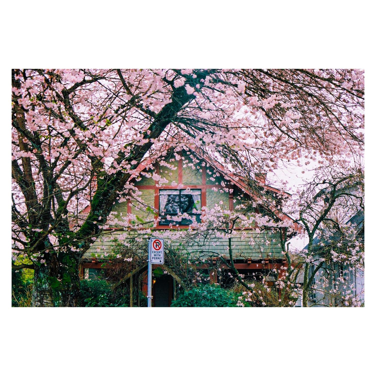 A house with a red roof and green siding is surrounded by pink blossoms.