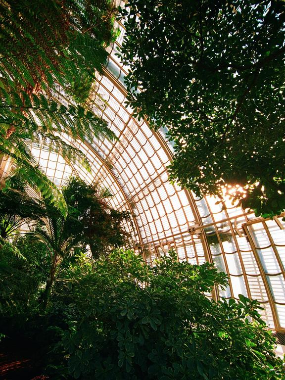 Lush green plants grow inside a large glass conservatory with a curved roof.