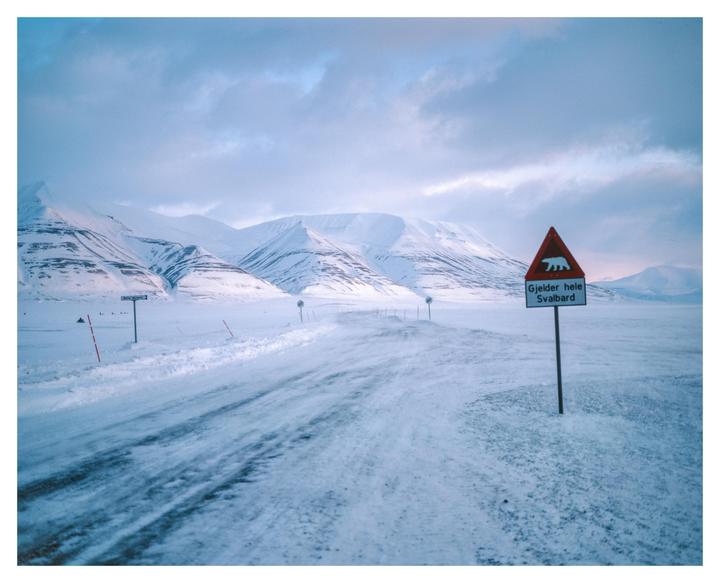A snow-covered road leads toward distant mountains under a cloudy sky, with a polar bear warning sign in the foreground.