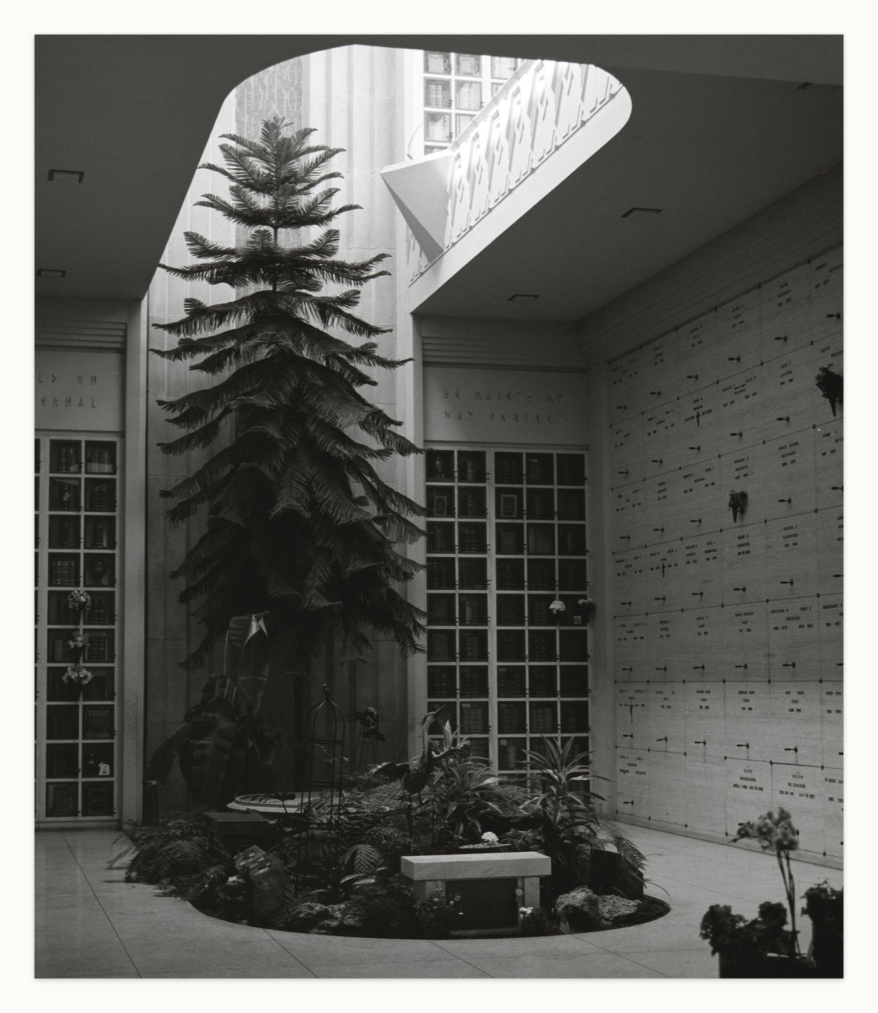 A large indoor tree stands in the center of a mausoleum with rows of plaques on the walls and a skylight above.