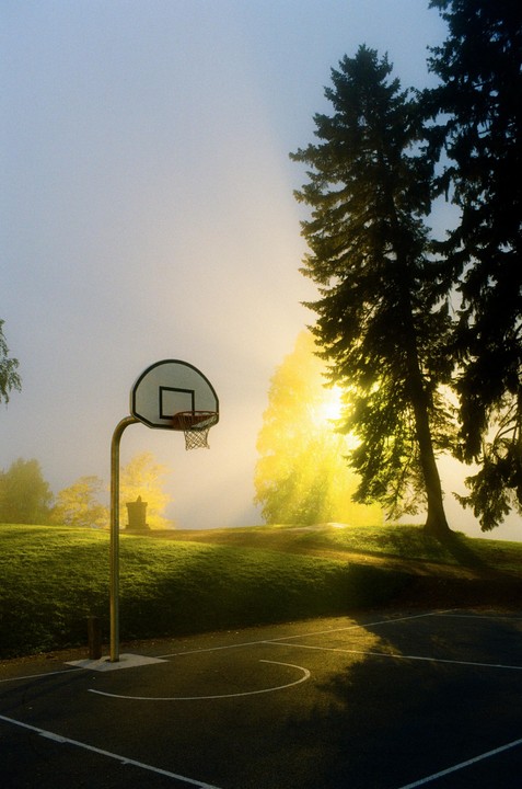 A basketball hoop stands on a court next to a grassy hill with trees and bright sunlight shining through fog.