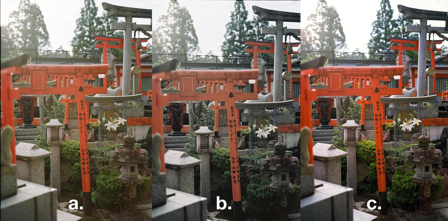 Multiple red torii gates and stone lanterns are visible in a lush garden setting.
