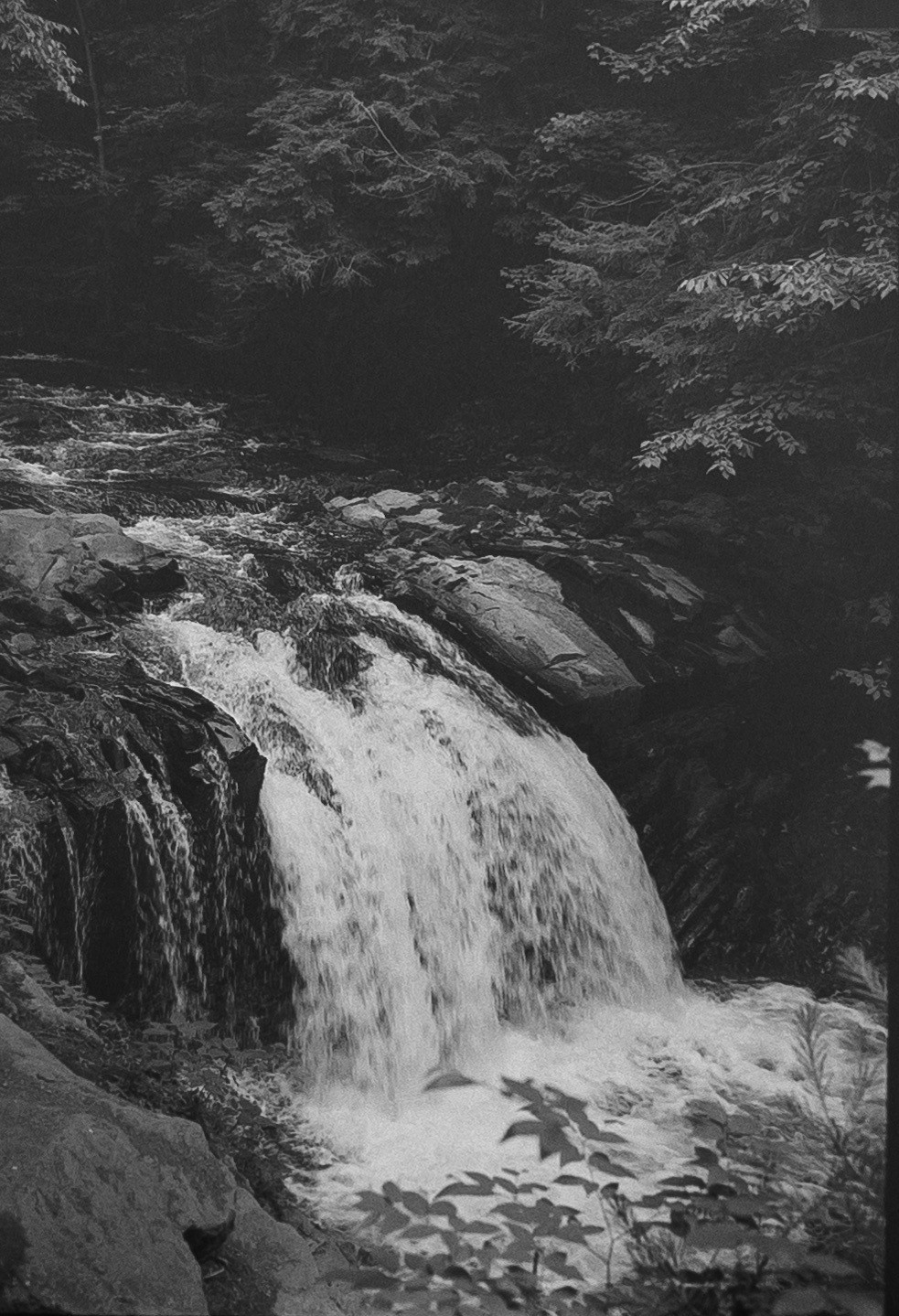 A waterfall cascades over rocks into a river surrounded by dense foliage.