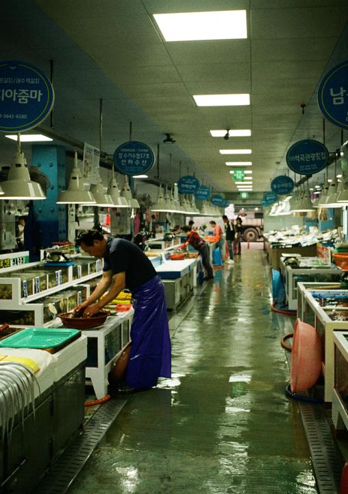 A man in a blue apron works at a stall in a fish market with a wet floor.
