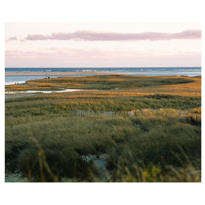 A vast marshland with tall grass and a wooden fence leads to a body of water under a pink and blue sky.