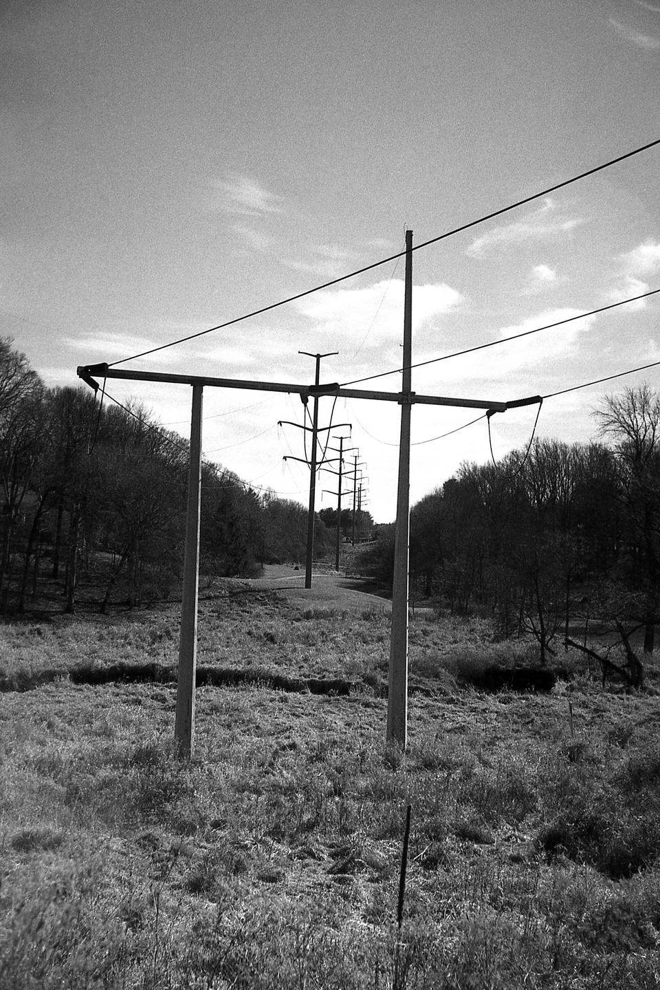 A line of electricity poles and wires stretches into the distance through a grassy field with trees on either side.