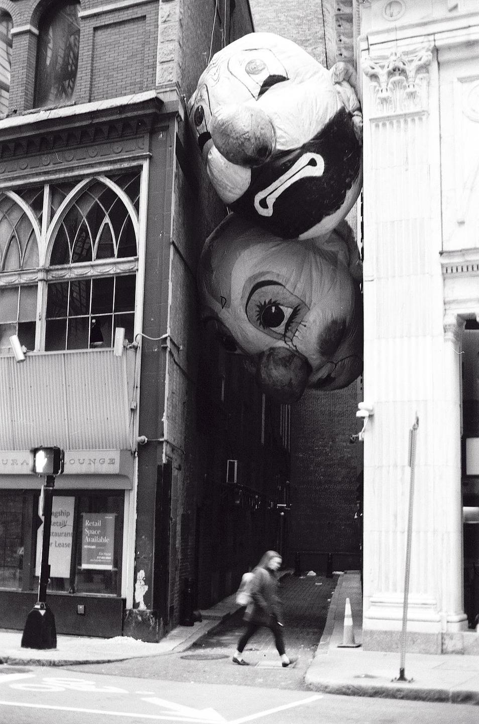 Two large clown balloons are wedged between buildings above a street where a person walks.