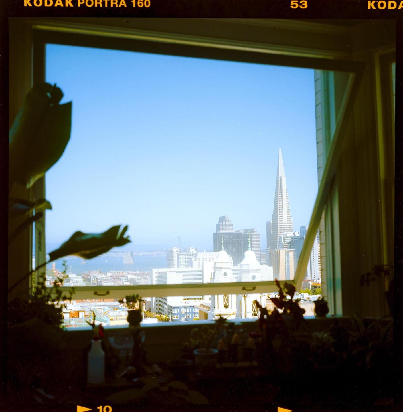 A cityscape with a prominent skyscraper is visible through a window, with plants silhouetted in the foreground.