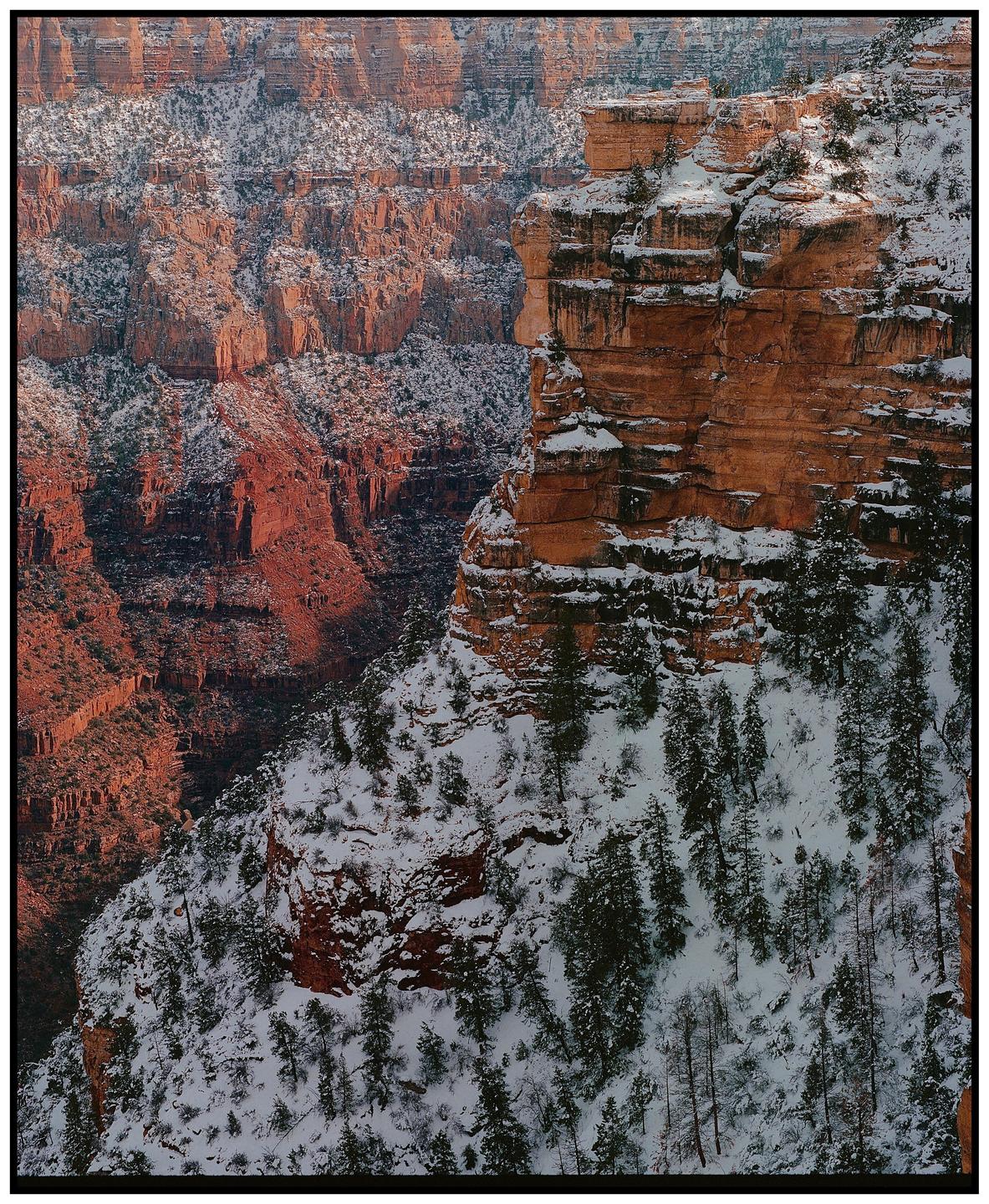 A snow-covered canyon with pine trees and red rock formations is visible.