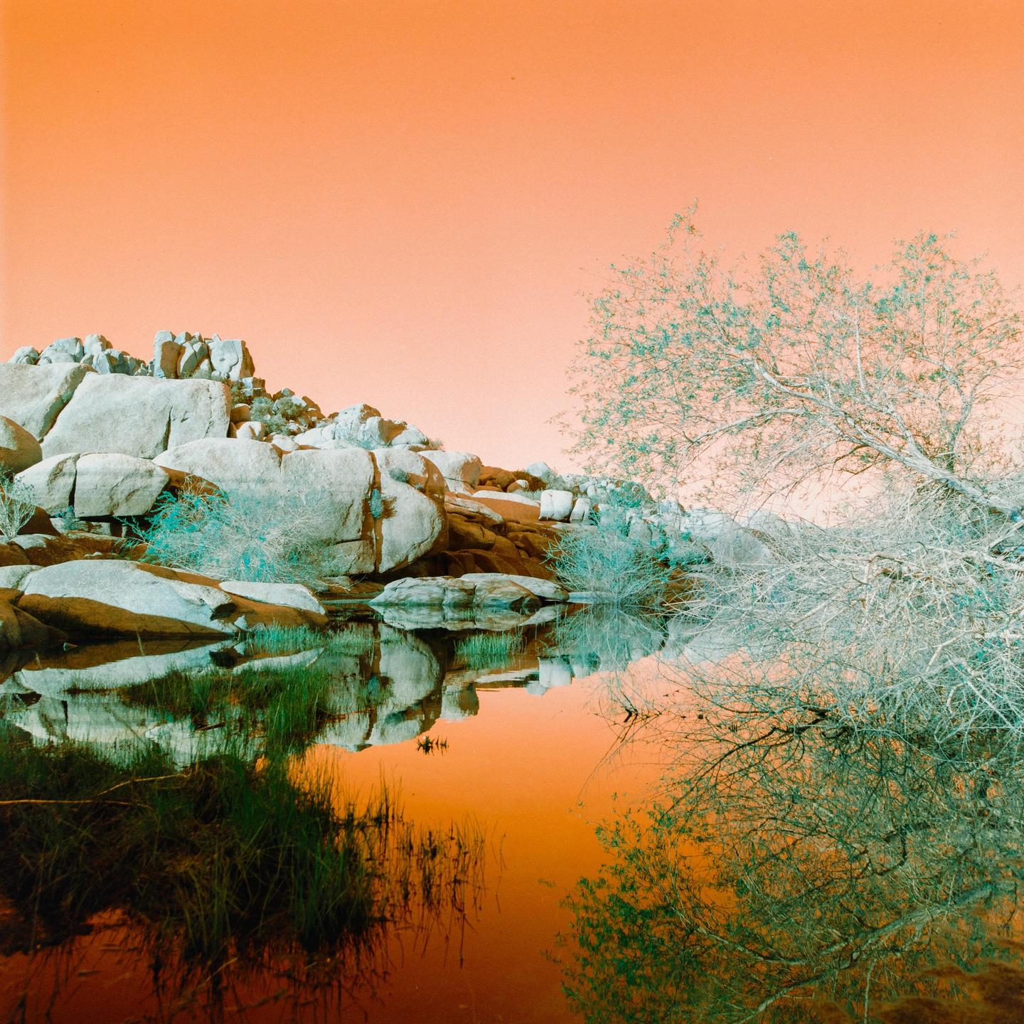 A body of water reflects a rocky hill and a tree under an orange sky.