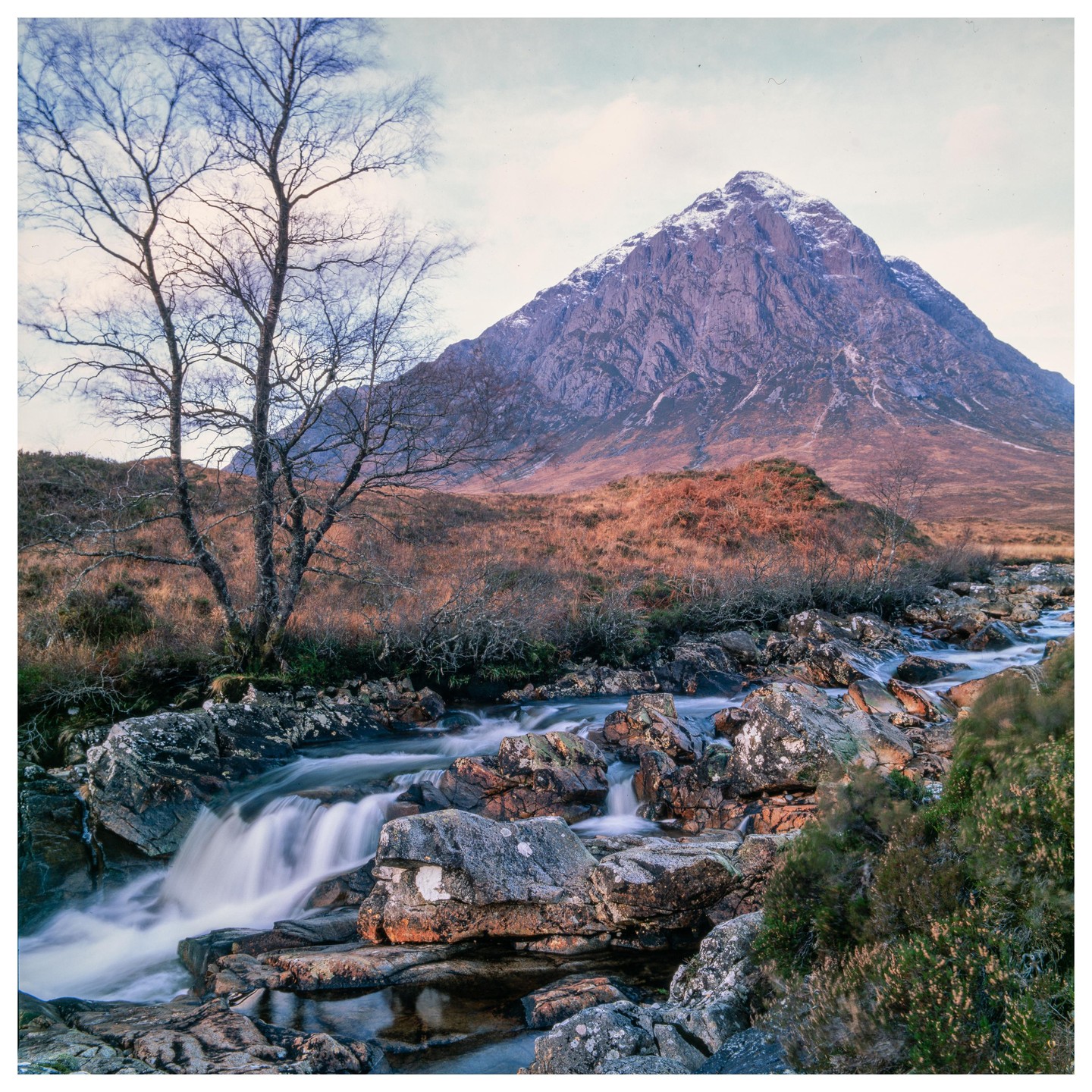 A river with small waterfalls flows over rocks in a valley with a bare tree and a snow-capped mountain.