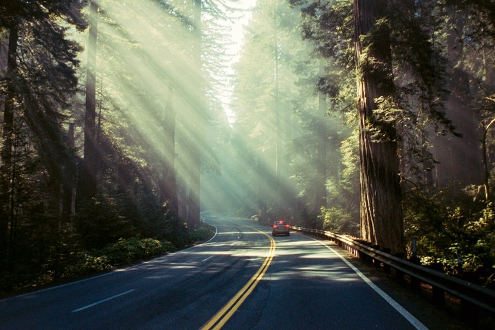 A car drives on a winding road through a forest with sun rays shining through the trees.