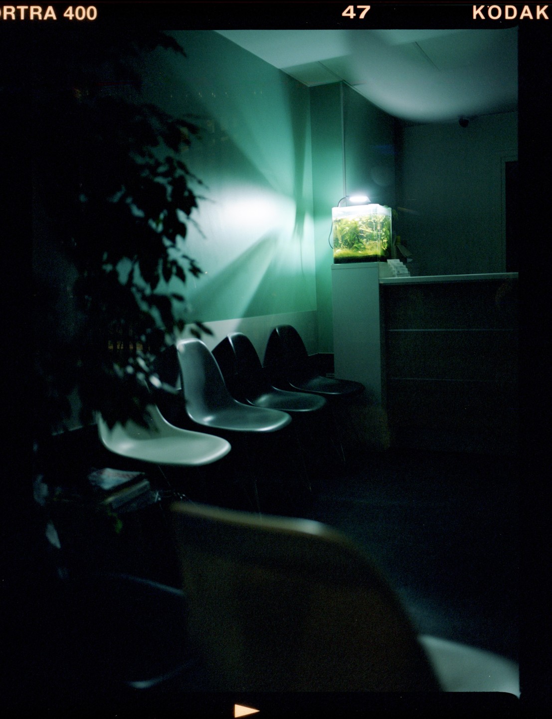 A dark waiting room features a row of chairs and a brightly lit aquarium on a counter.