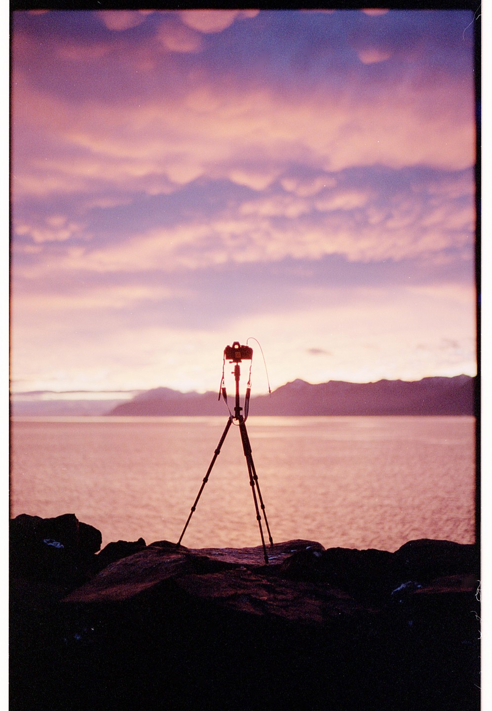 A camera on a tripod is silhouetted against a pink and purple sunset over a body of water with mountains in the distance.