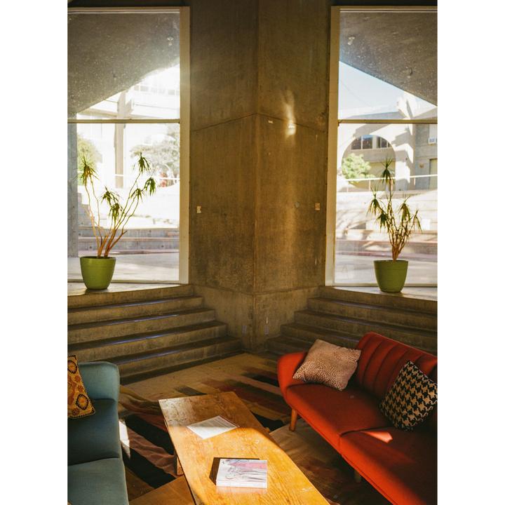 Sunlight streams into a room with concrete walls, two potted plants, and a red and a blue sofa.