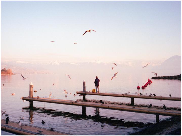 A man stands on a pier surrounded by birds flying and swimming in a lake with mountains in the distance.