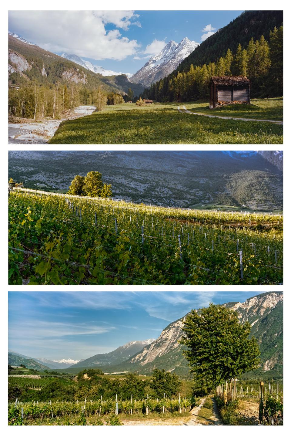 Three panoramic landscape photographs are displayed, each featuring mountains and lush green valleys.