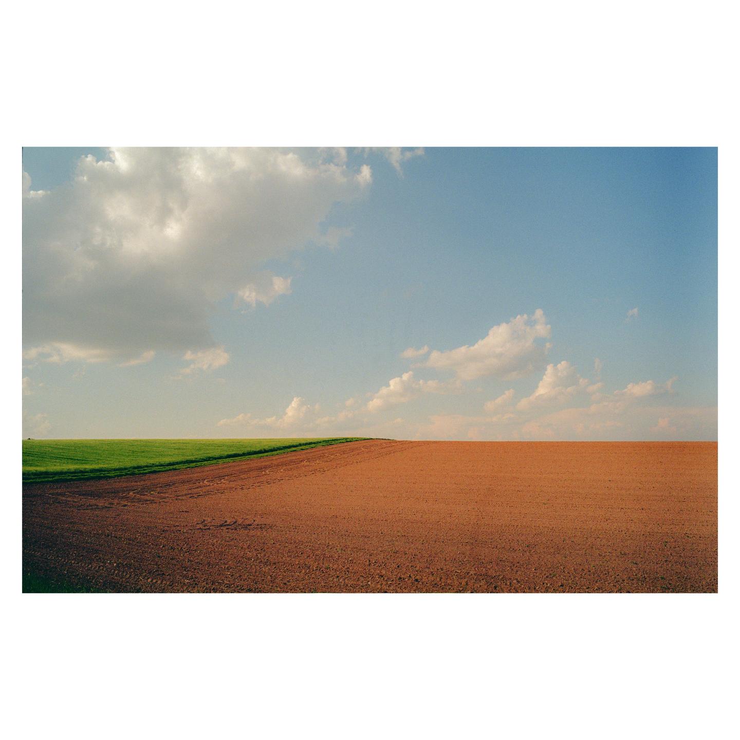 A field is divided into a green section and a brown section under a blue sky with clouds.