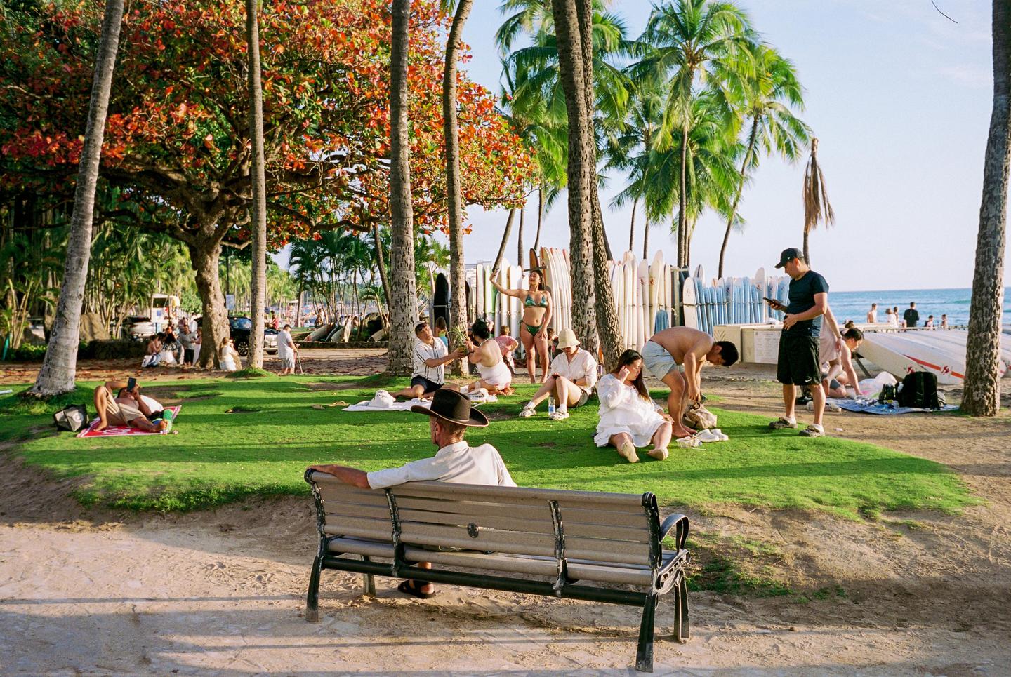 People relax on a grassy area under palm trees next to a beach with surfboards.