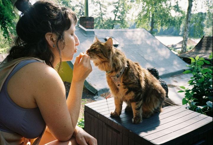 A woman feeds a cat from her hand on a sunny day outdoors.