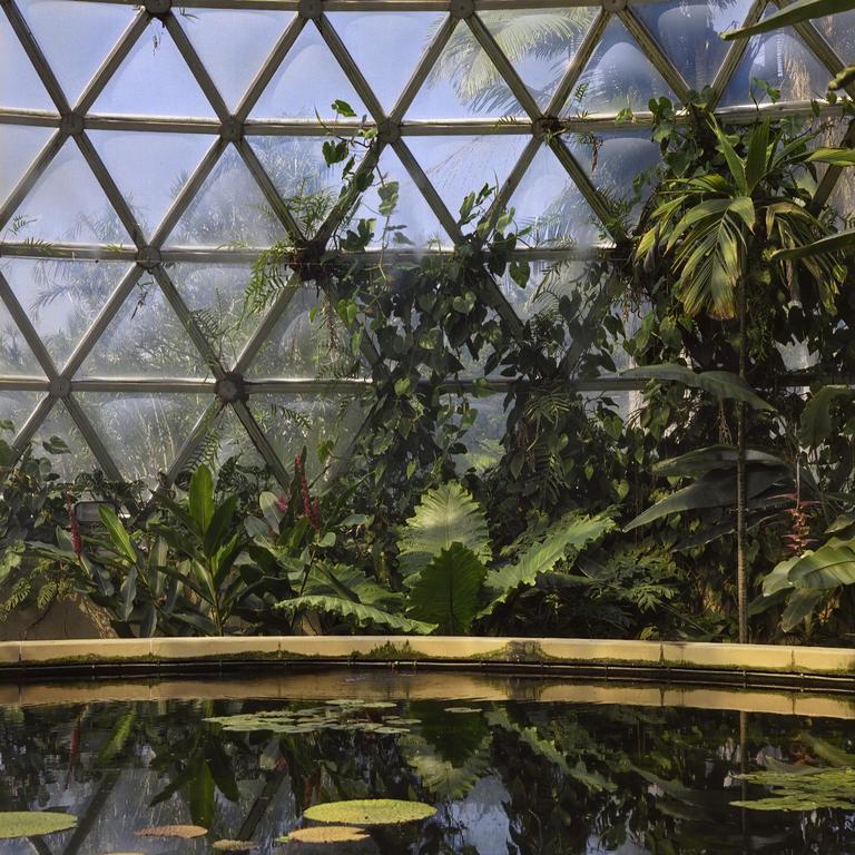 A pond with lily pads reflects the lush plants and geodesic dome structure of a greenhouse.