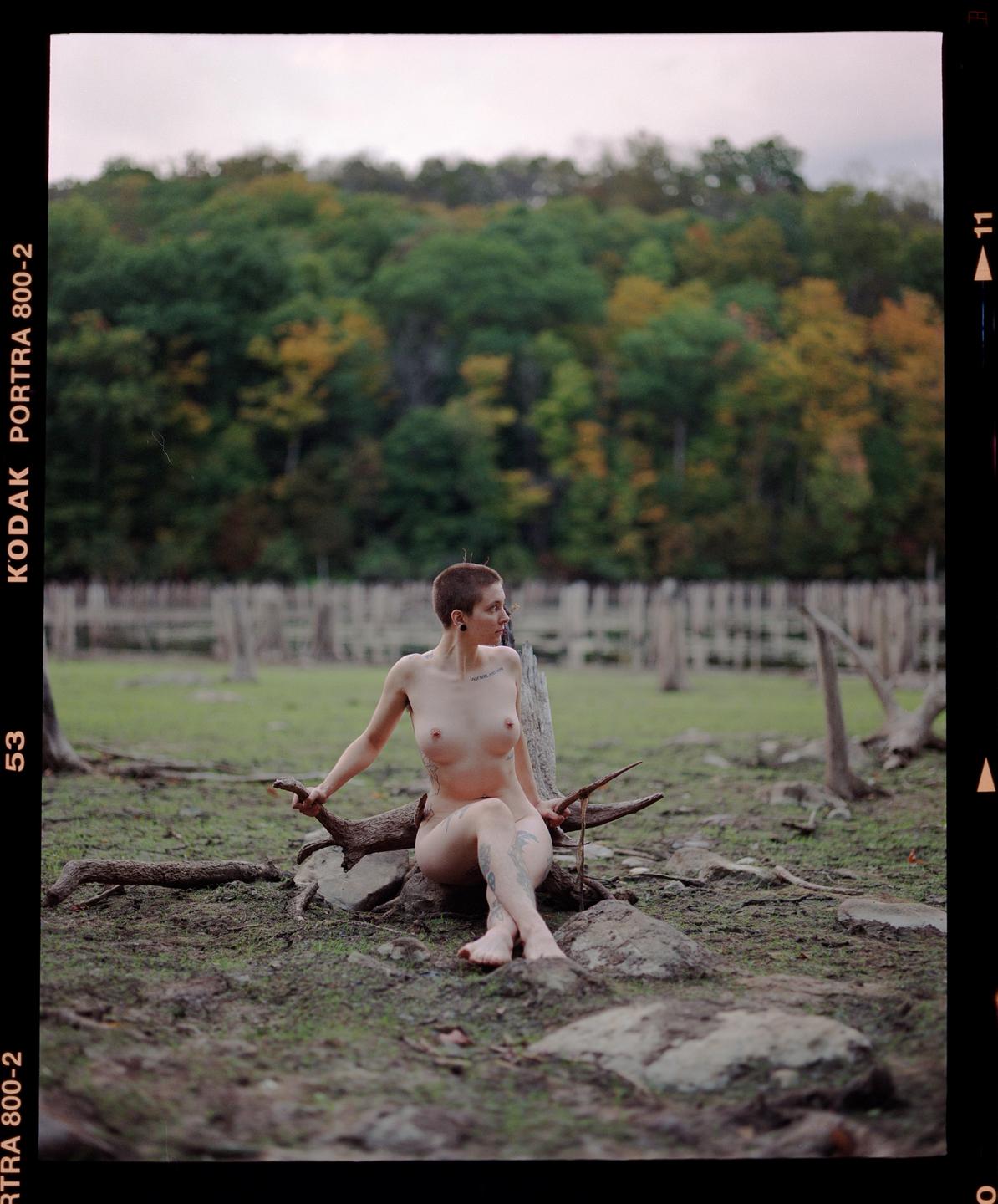 A nude woman with a shaved head sits on a tree stump in a field with a forest in the background.