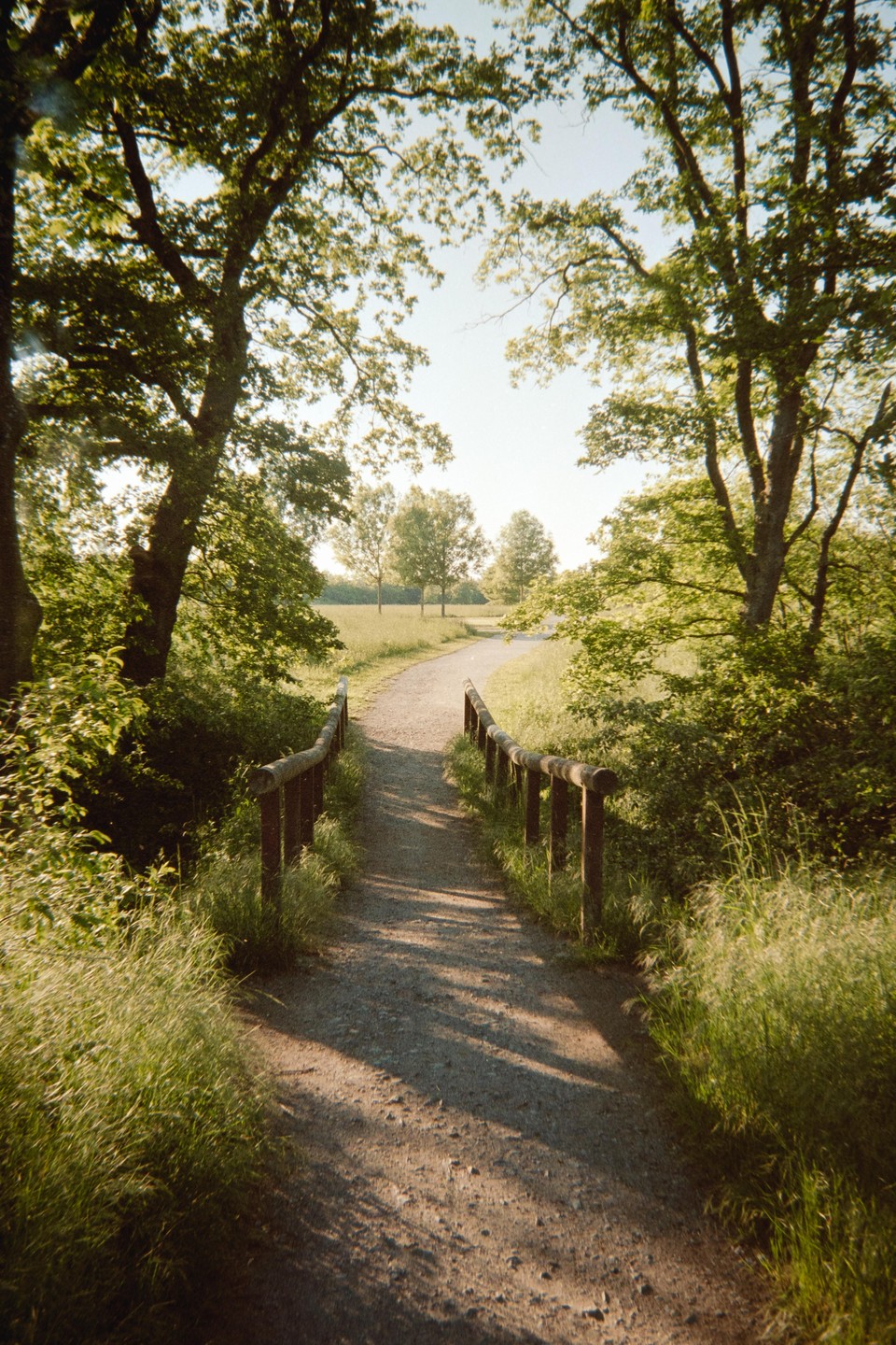 A dirt path with wooden railings on either side leads through a grassy field towards a line of trees in the distance.