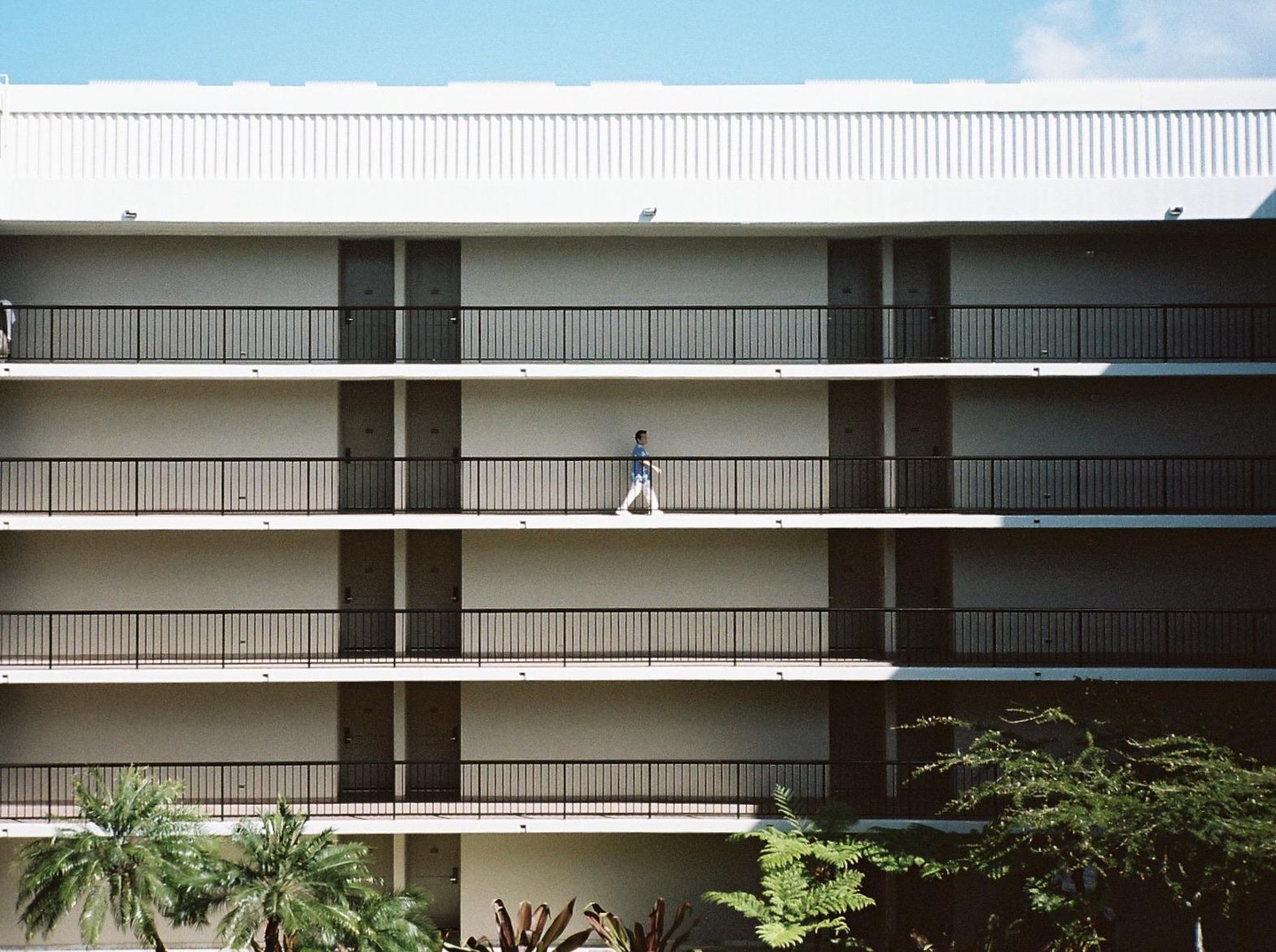 A man walks along a balcony of a multi-story building with palm trees in the foreground.