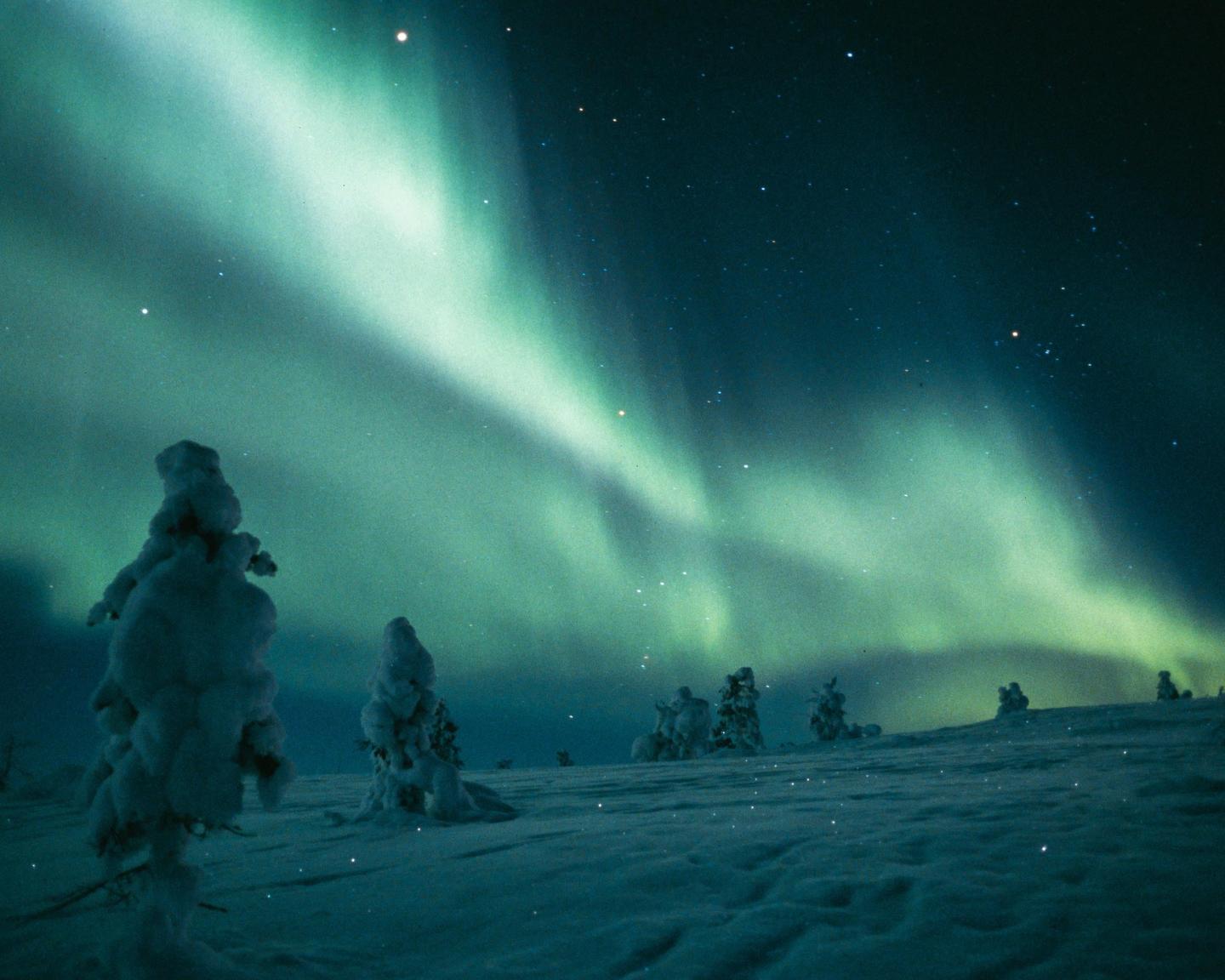 The aurora borealis illuminates a snowy landscape with snow-covered trees under a starry night sky.
