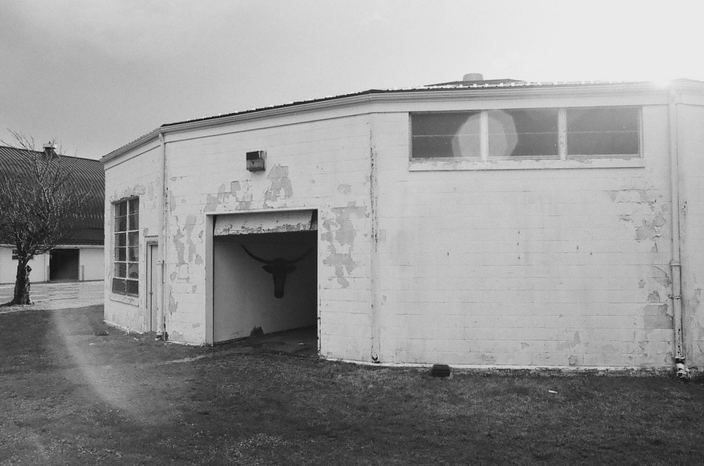 A longhorn skull is visible in the dark entrance of a white building with peeling paint.
