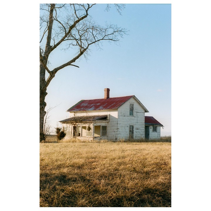 An abandoned white house with a red roof stands in a field of dry grass next to a bare tree.