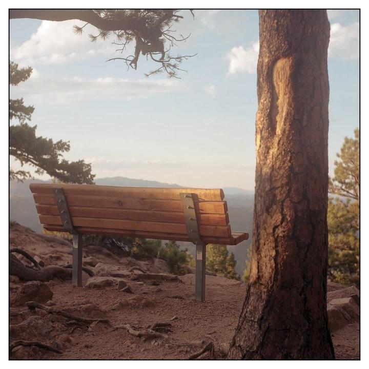 A wooden bench sits on a dirt path overlooking a mountain range, with a tree trunk in the foreground.
