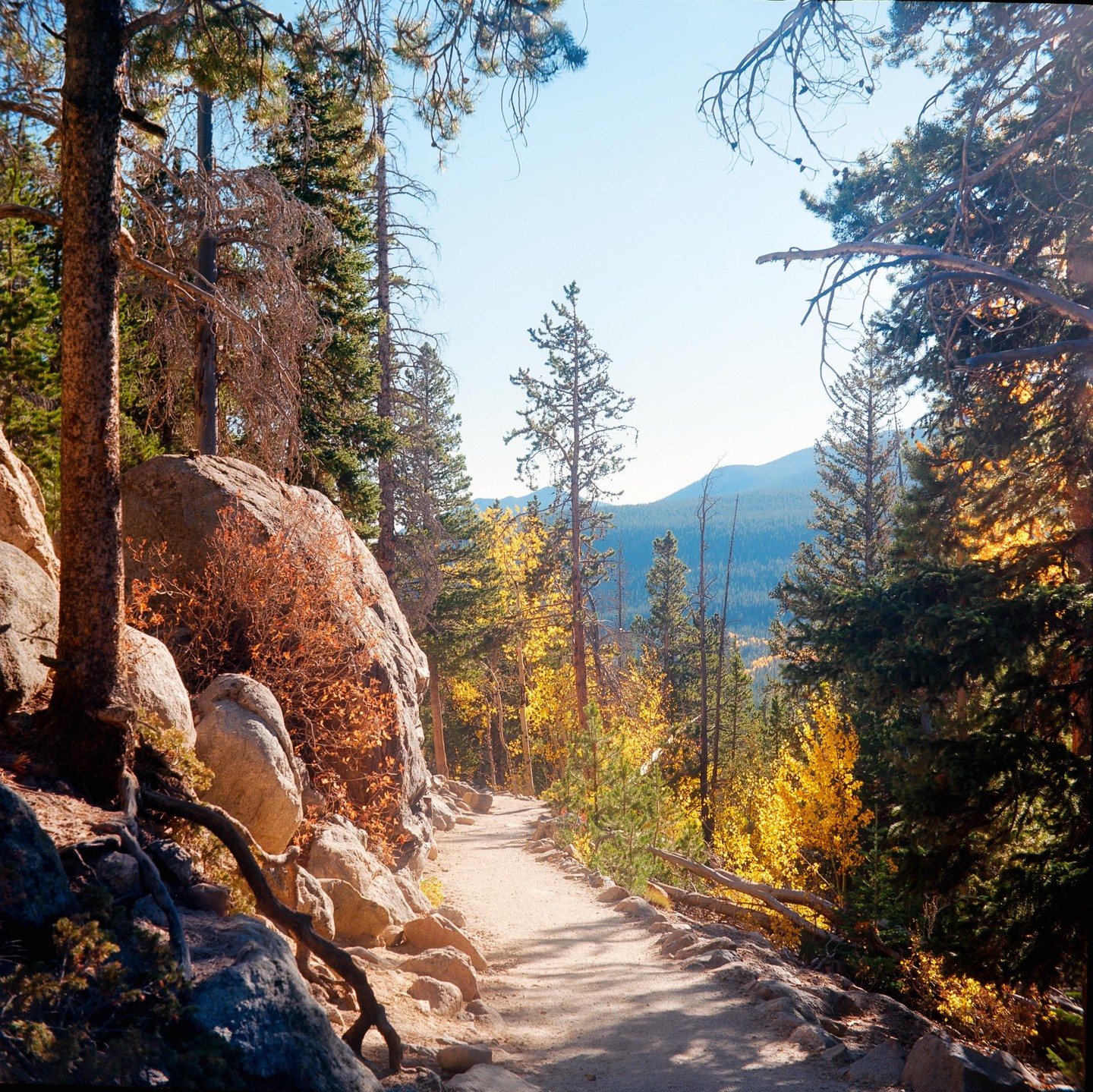 A dirt path winds through a forest with autumn foliage and large rocks.